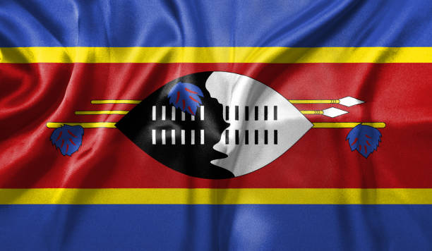 istockphoto 1456705316 612x612 1